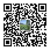 weixin.jpg